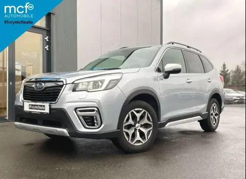 Used SUBARU FORESTER Petrol 2019 Ad 