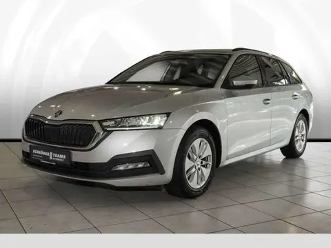 Annonce SKODA OCTAVIA Diesel 2020 d'occasion 