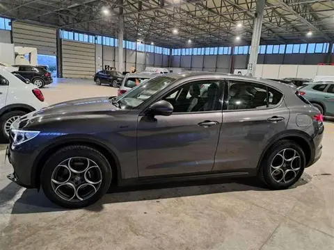 Annonce ALFA ROMEO STELVIO Diesel 2020 d'occasion 