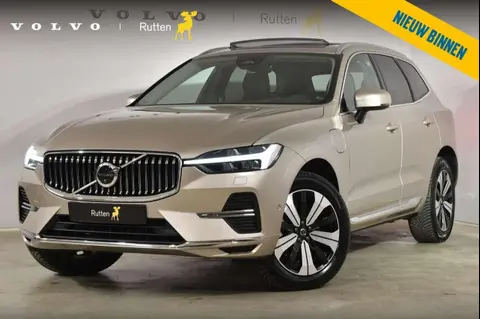 Used VOLVO XC60 Hybrid 2023 Ad 