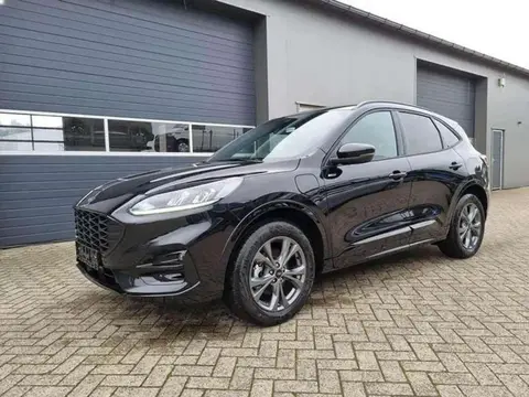 Annonce FORD KUGA Hybride 2024 d'occasion 