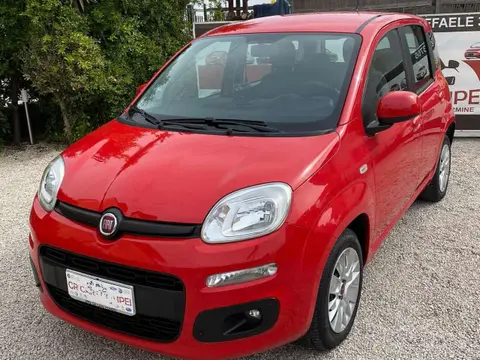 Annonce FIAT PANDA Diesel 2019 d'occasion 