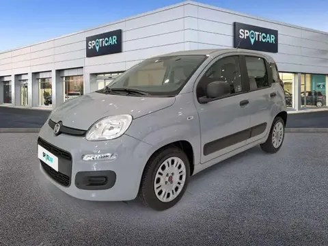 Annonce FIAT PANDA Essence 2021 d'occasion 