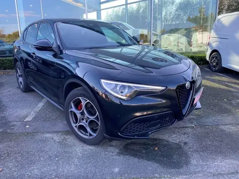 Used ALFA ROMEO STELVIO Petrol 2023 Ad 