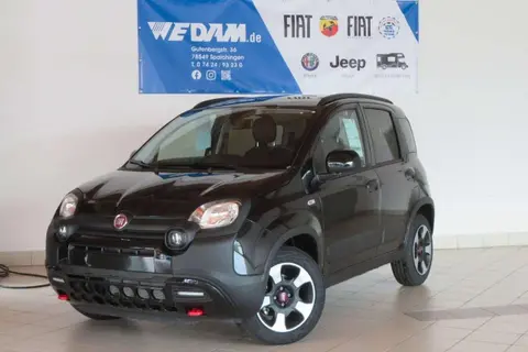 Used FIAT PANDA Petrol 2024 Ad 