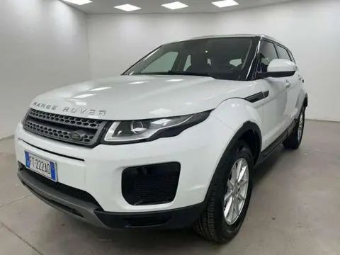 Used LAND ROVER RANGE ROVER EVOQUE Diesel 2018 Ad 