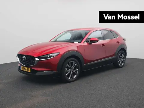 Annonce MAZDA CX-30 Hybride 2020 d'occasion 