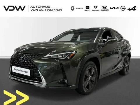 Used LEXUS UX Hybrid 2019 Ad 