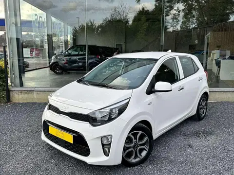 Annonce KIA PICANTO Essence 2023 d'occasion 