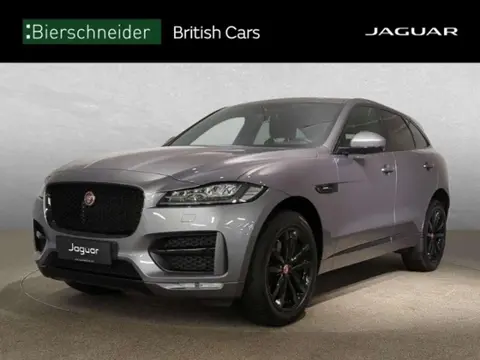 Used JAGUAR F-PACE Diesel 2020 Ad 