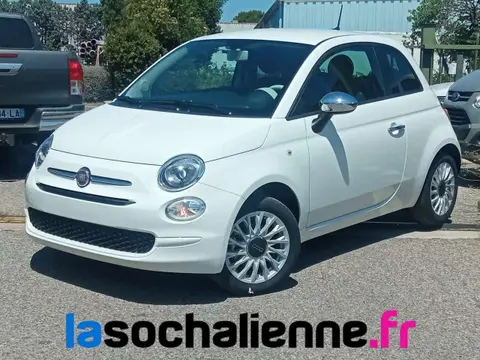 Used FIAT 500 Petrol 2023 Ad 