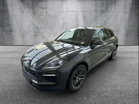 Used PORSCHE MACAN Petrol 2024 Ad 