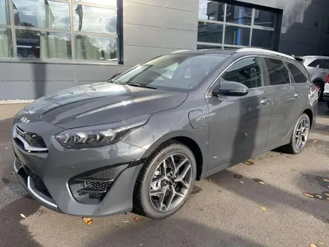 Used KIA CEED Hybrid 2024 Ad 