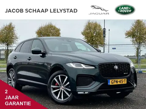 Annonce JAGUAR F-PACE Hybride 2021 d'occasion 