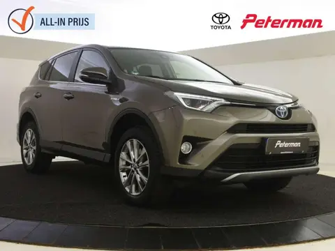 Annonce TOYOTA RAV4 Hybride 2017 d'occasion 