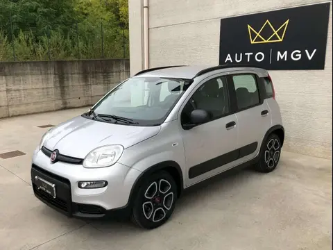 Annonce FIAT PANDA Hybride 2021 d'occasion 