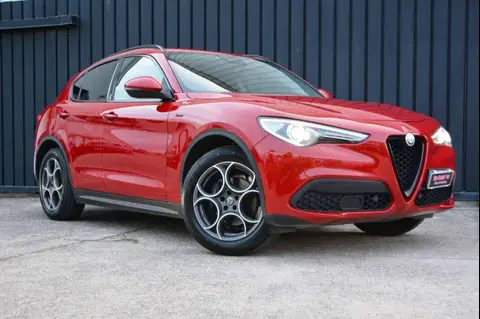 Used ALFA ROMEO STELVIO Diesel 2020 Ad 