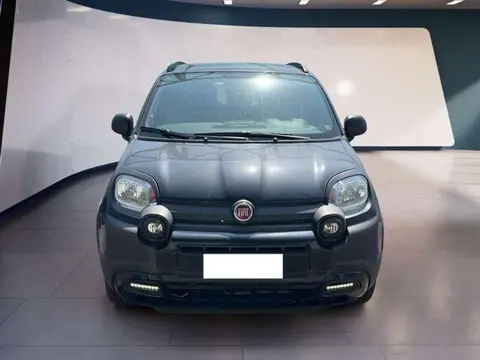 Annonce FIAT PANDA Hybride 2022 d'occasion 