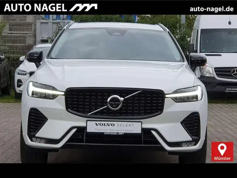 Annonce VOLVO XC60 Essence 2024 d'occasion 