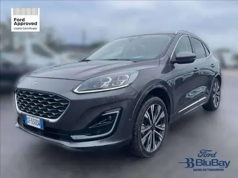 Annonce FORD KUGA Essence 2021 d'occasion 