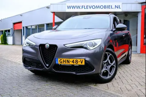 Annonce ALFA ROMEO STELVIO Diesel 2019 d'occasion 