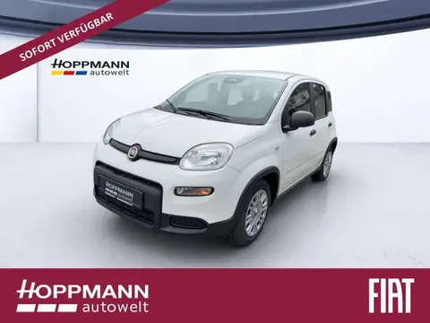 Used FIAT PANDA Petrol 2024 Ad 