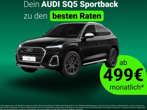 Annonce AUDI SQ5 Diesel 2024 d'occasion 