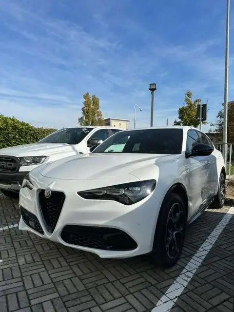 Used ALFA ROMEO STELVIO Diesel 2023 Ad 