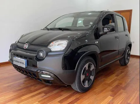 Used FIAT PANDA Hybrid 2021 Ad 