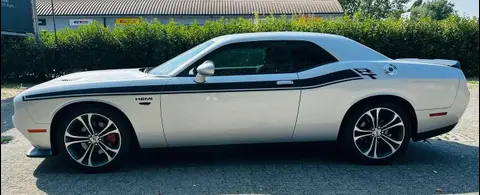 Used DODGE CHALLENGER Petrol 2020 Ad 