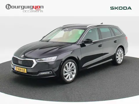 Used SKODA OCTAVIA Petrol 2023 Ad 