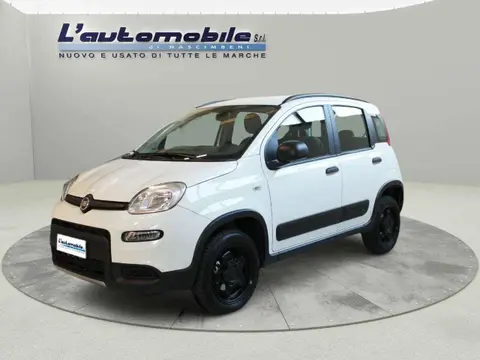 Annonce FIAT PANDA Essence 2019 d'occasion 