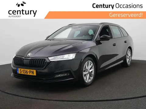 Used SKODA OCTAVIA Petrol 2023 Ad 