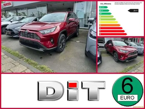 Used TOYOTA RAV4 Hybrid 2024 Ad Germany