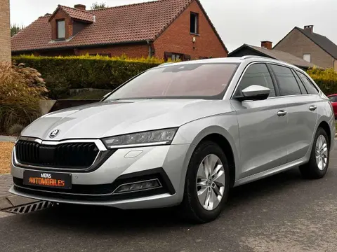 Annonce SKODA OCTAVIA Diesel 2020 d'occasion 