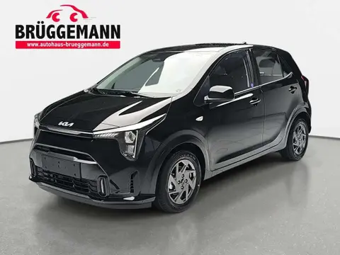 Annonce KIA PICANTO Essence 2024 d'occasion 