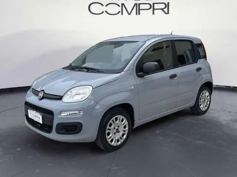 Used FIAT PANDA Petrol 2020 Ad 