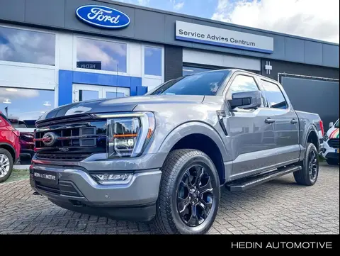 Used FORD F150 Petrol 2024 Ad 