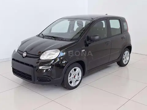 Used FIAT PANDA Hybrid 2024 Ad 