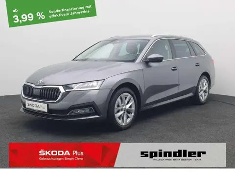 Annonce SKODA OCTAVIA Diesel 2023 d'occasion 