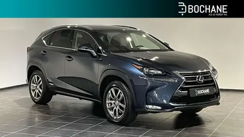 Used LEXUS NX Hybrid 2015 Ad 