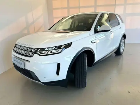 Used LAND ROVER DISCOVERY Hybrid 2020 Ad 