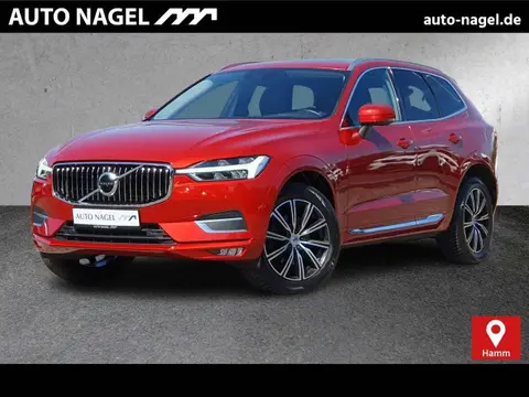 Used VOLVO XC60 Diesel 2019 Ad 