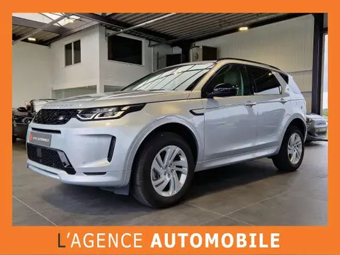 Annonce LAND ROVER DISCOVERY Essence 2024 d'occasion 