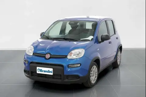 Used FIAT PANDA Hybrid 2024 Ad 