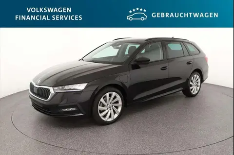 Used SKODA OCTAVIA Hybrid 2022 Ad 