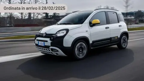 Used FIAT PANDA Hybrid 2024 Ad 