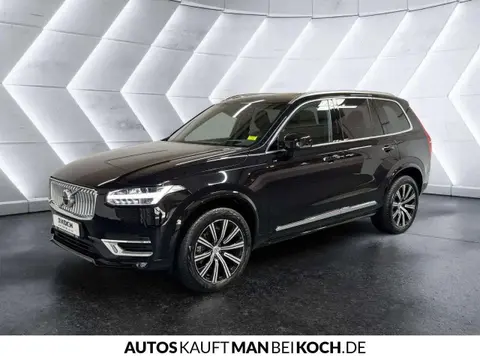 Used VOLVO XC90 Petrol 2021 Ad 