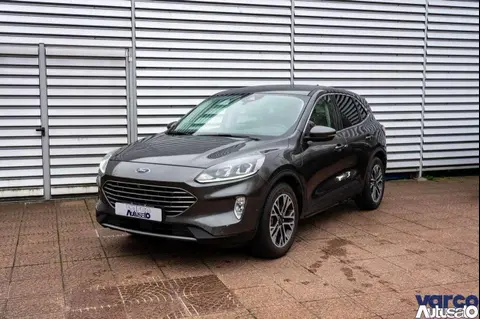 Used FORD KUGA Hybrid 2021 Ad 