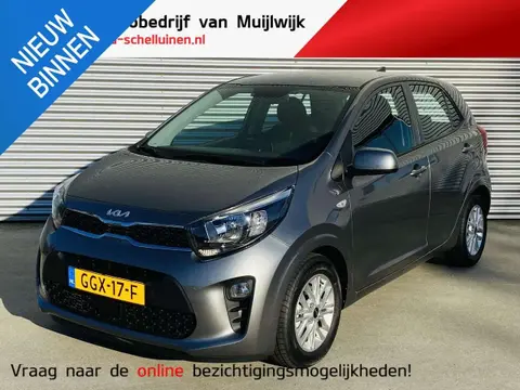 Used KIA PICANTO Petrol 2024 Ad 